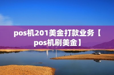 pos机201美金打款业务【pos机刷美金】